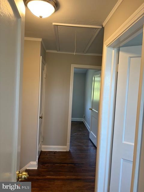 KNETTISHALL - Residential Lease