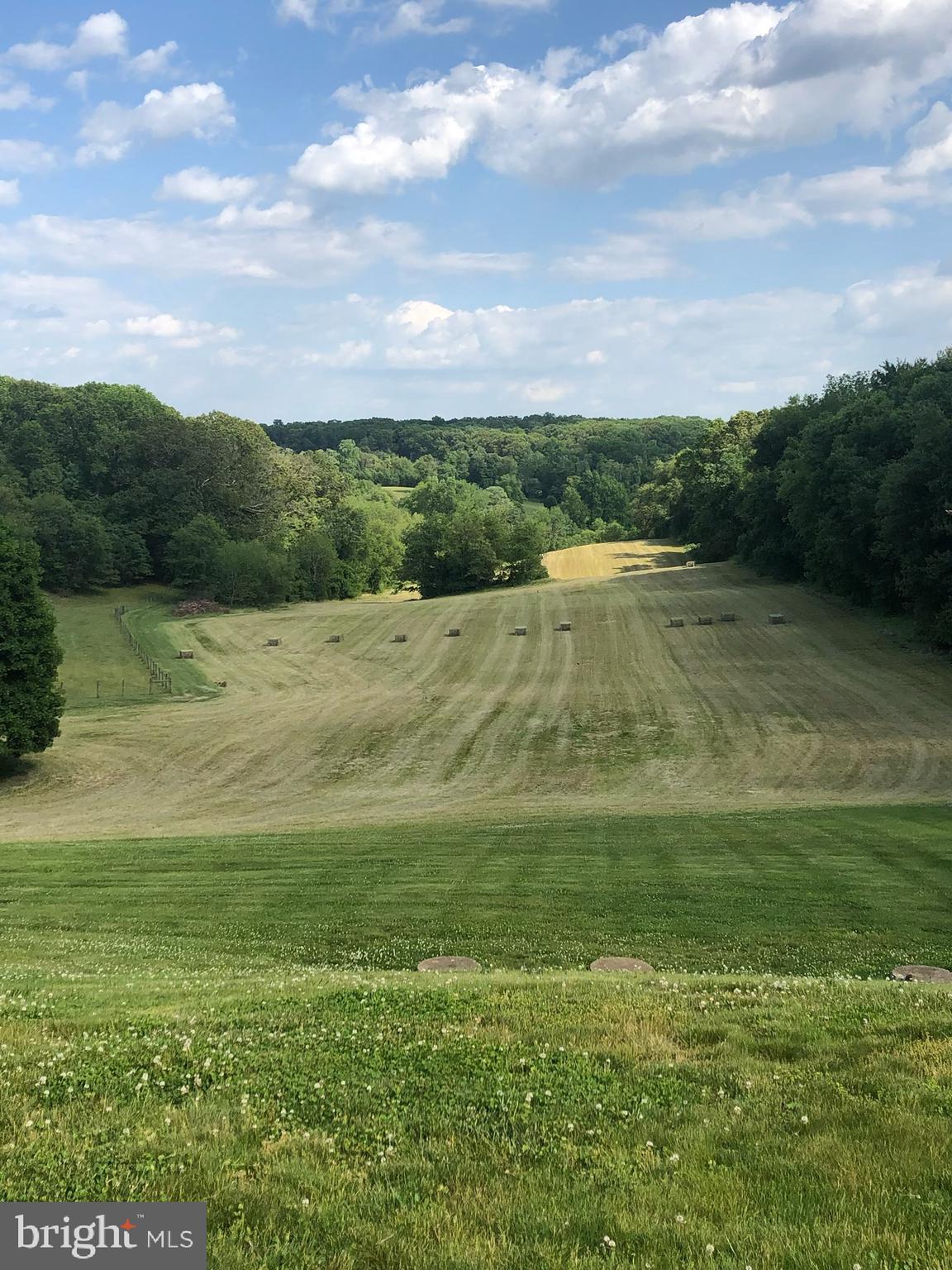 3239 DRY BRANCH ROAD