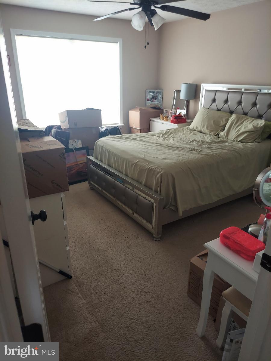 SPRING HILL - Residential Lease