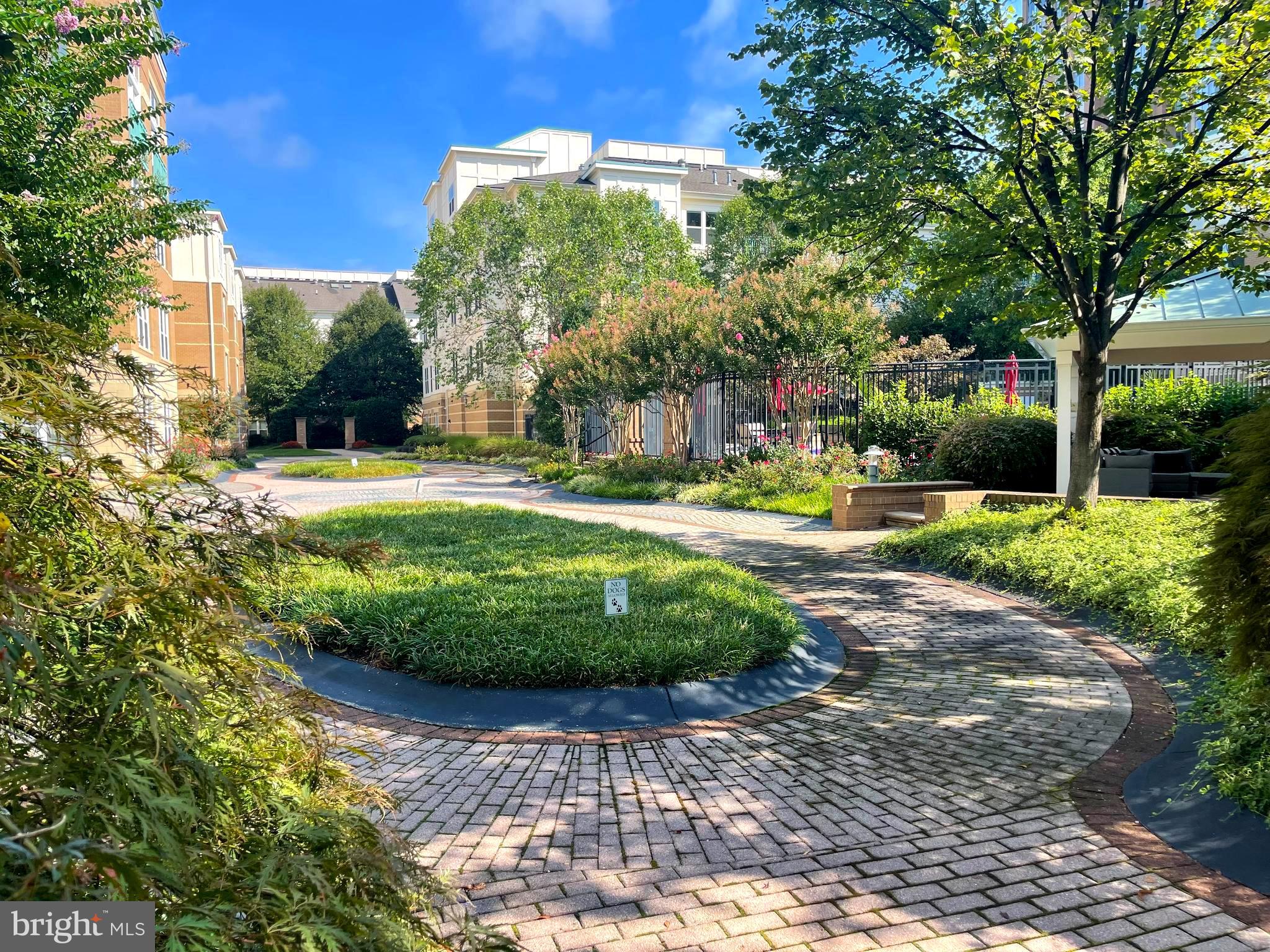 MARKET STREET AT TOWN CENTER - Residential