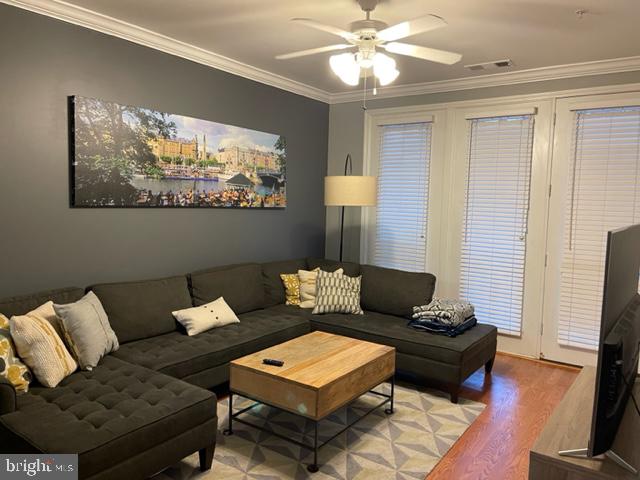 MARKET STREET AT TOWN CENTER - Residential