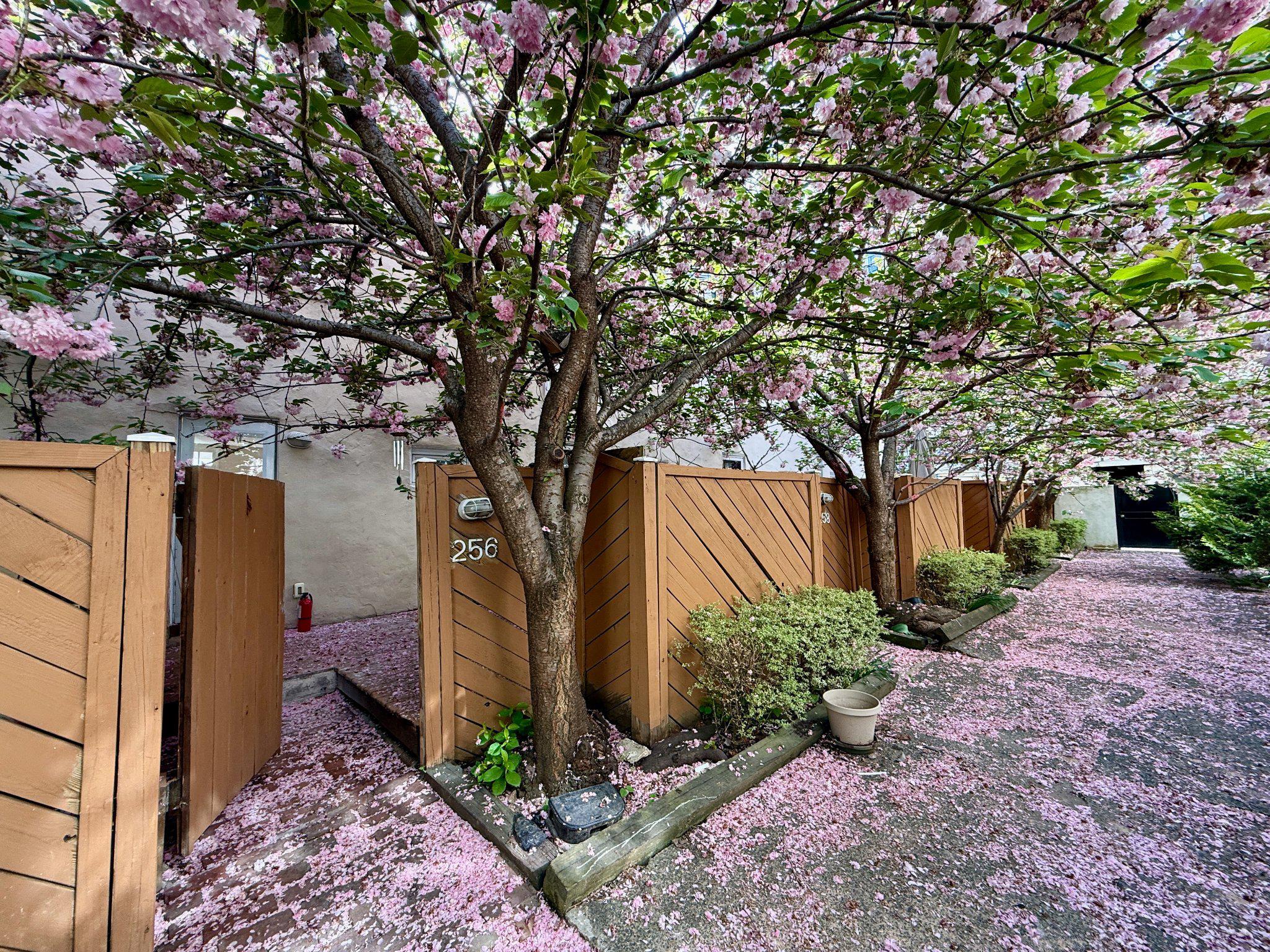 SOCIETY HILL - Residential