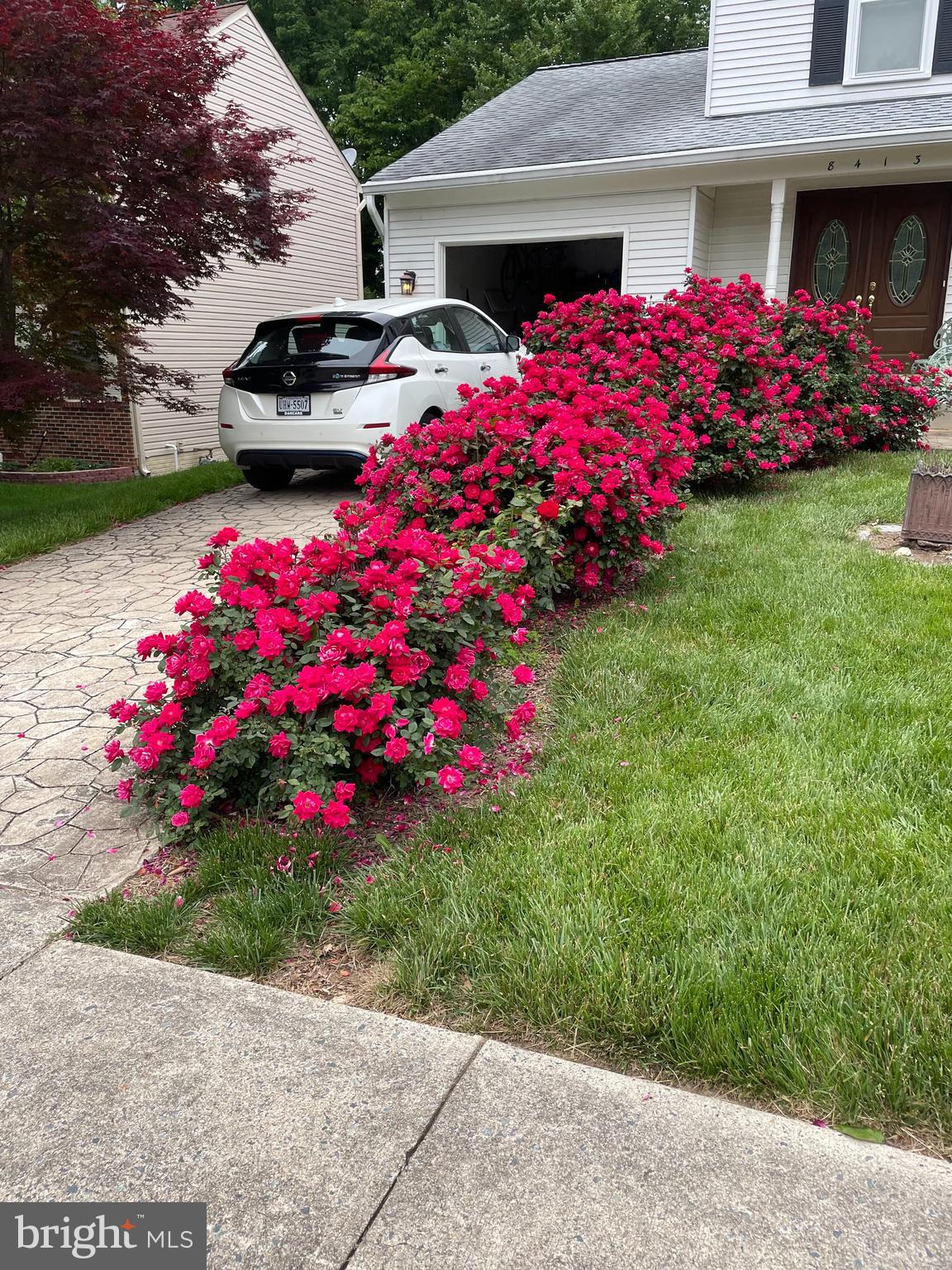 BEECHWOOD CLUSTER - Residential