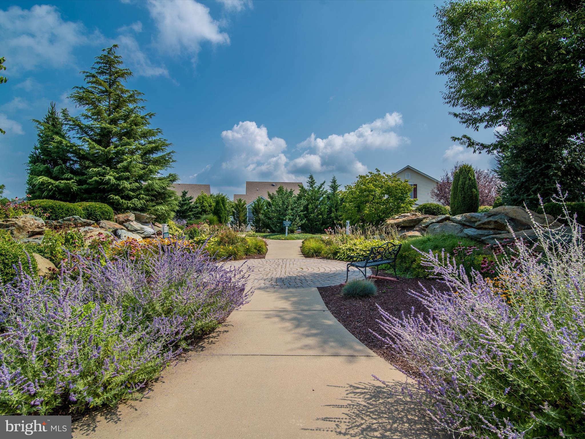 FOXFIELD AT MIDDLETOWN - Residential