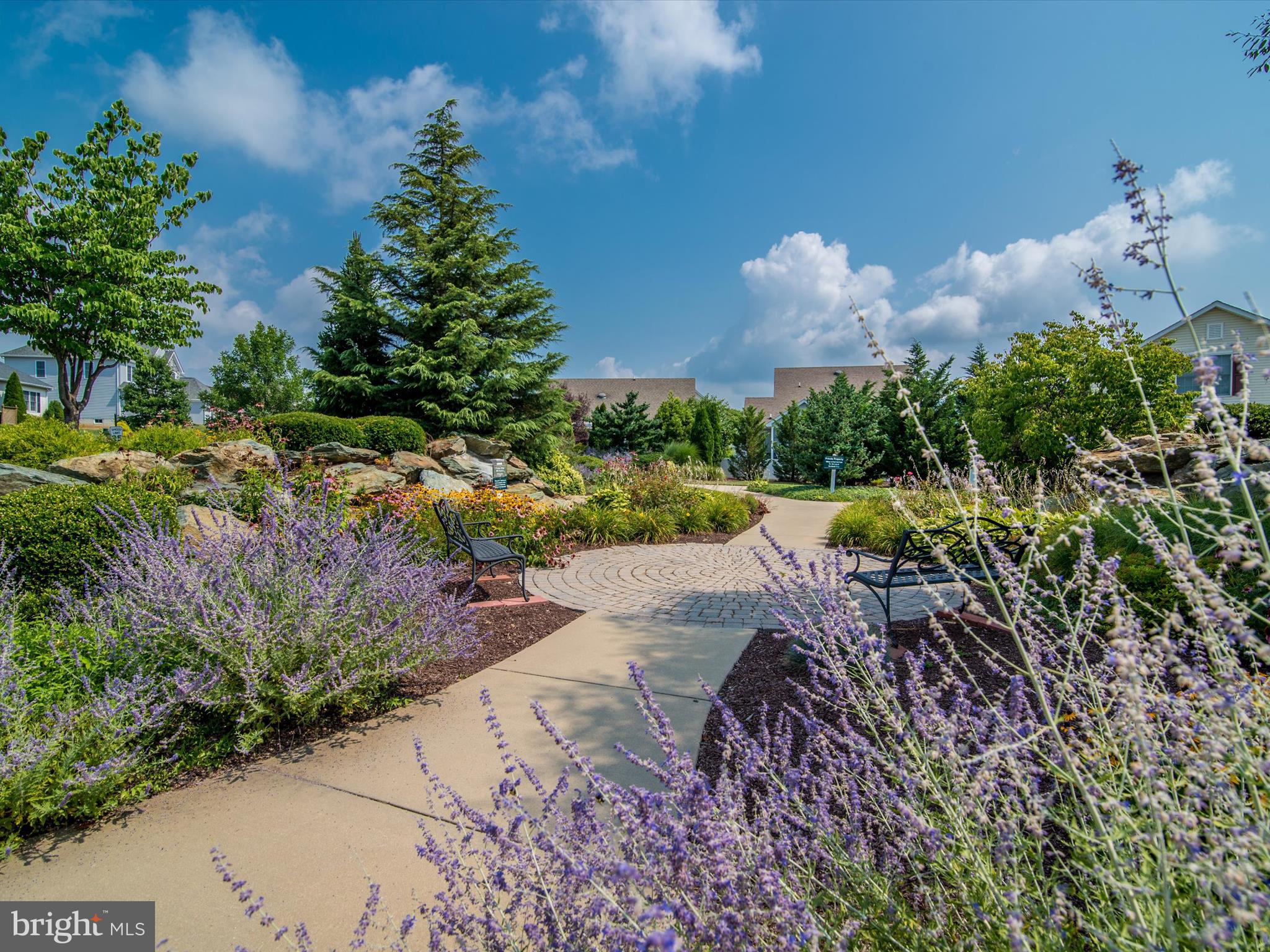 FOXFIELD AT MIDDLETOWN - Residential