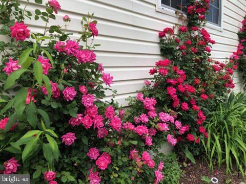 FOUR SEASONS - Residential