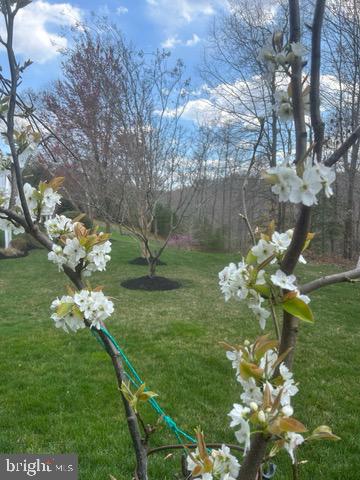 FOUR SEASONS - Residential