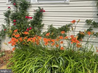 FOUR SEASONS - Residential