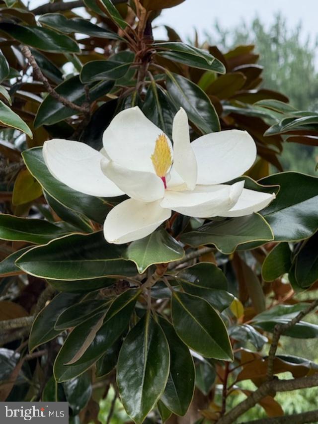 ROBODA - Residential