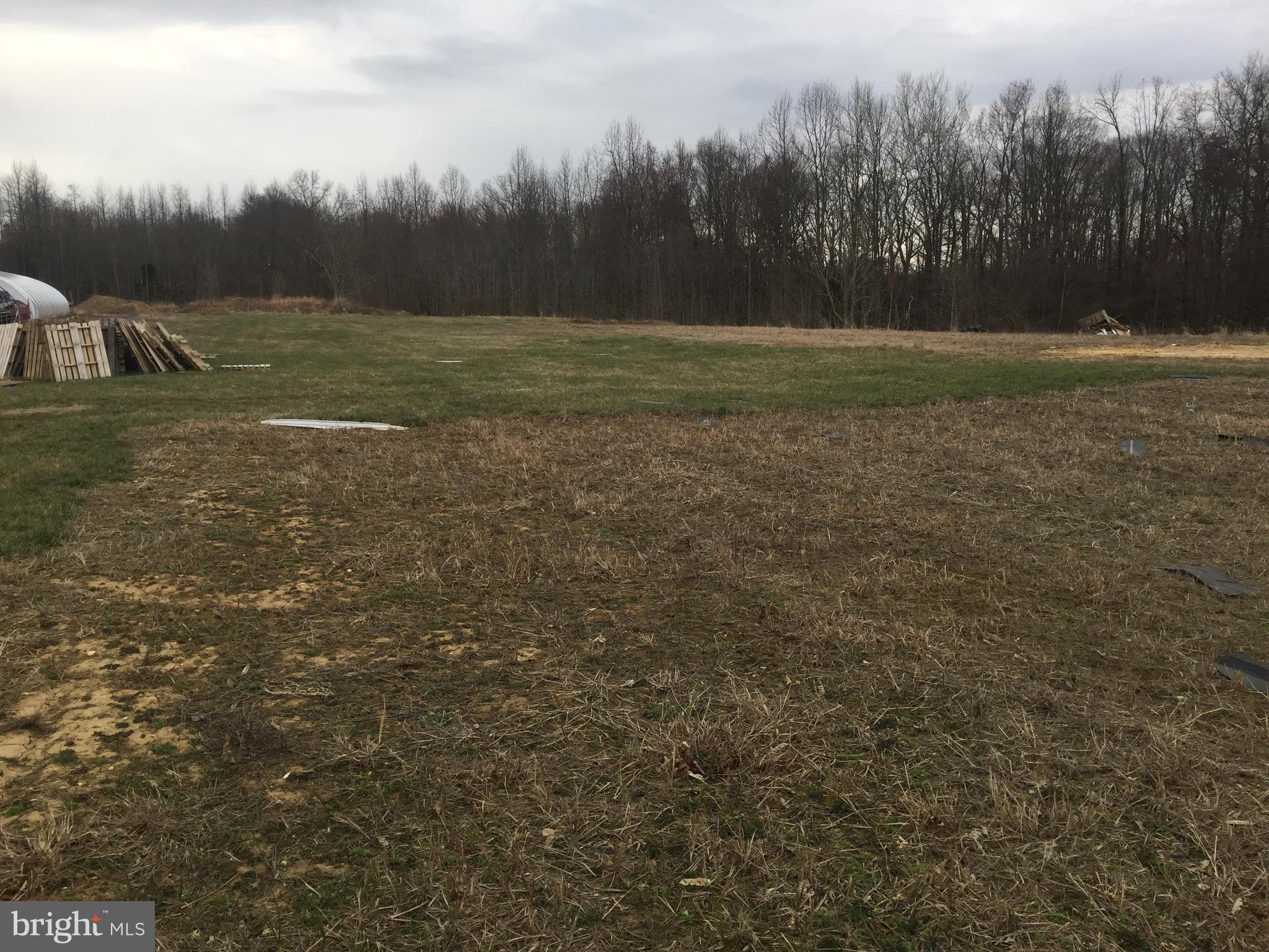 NONE AVAILABLE - Farm