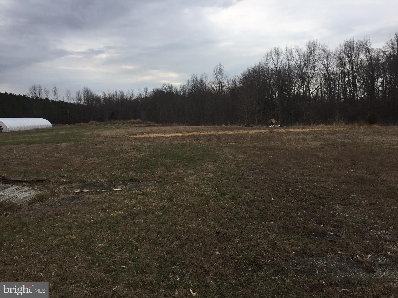 NONE AVAILABLE - Farm