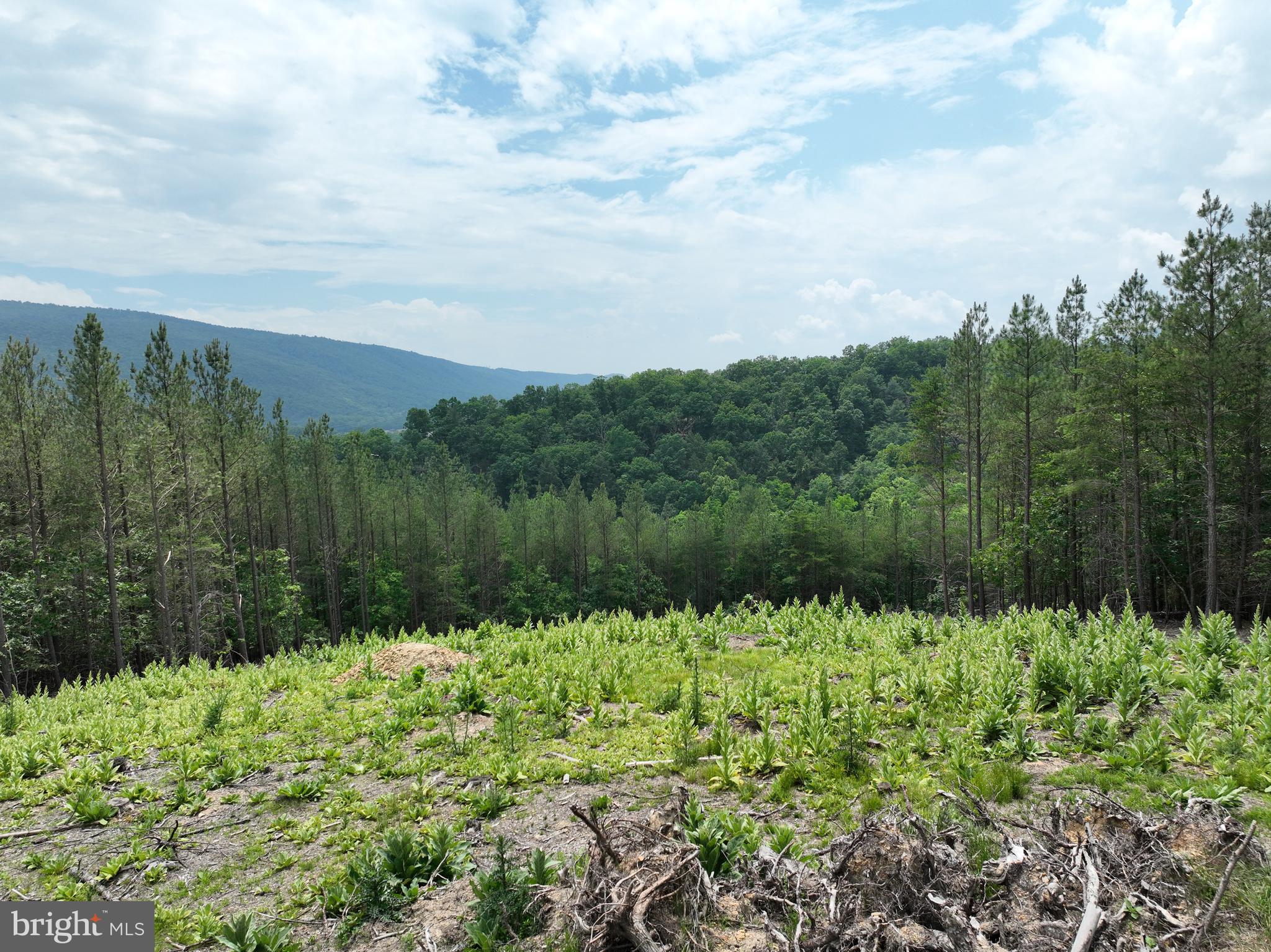 NONE AVAILABLE - Land