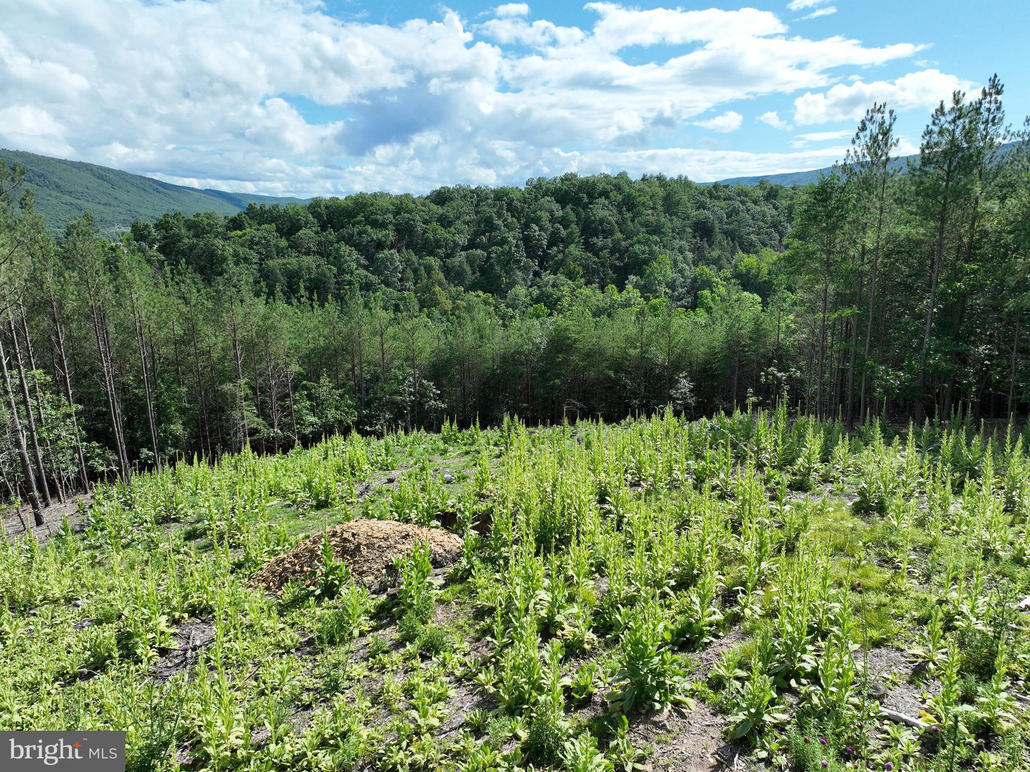 NONE AVAILABLE - Land