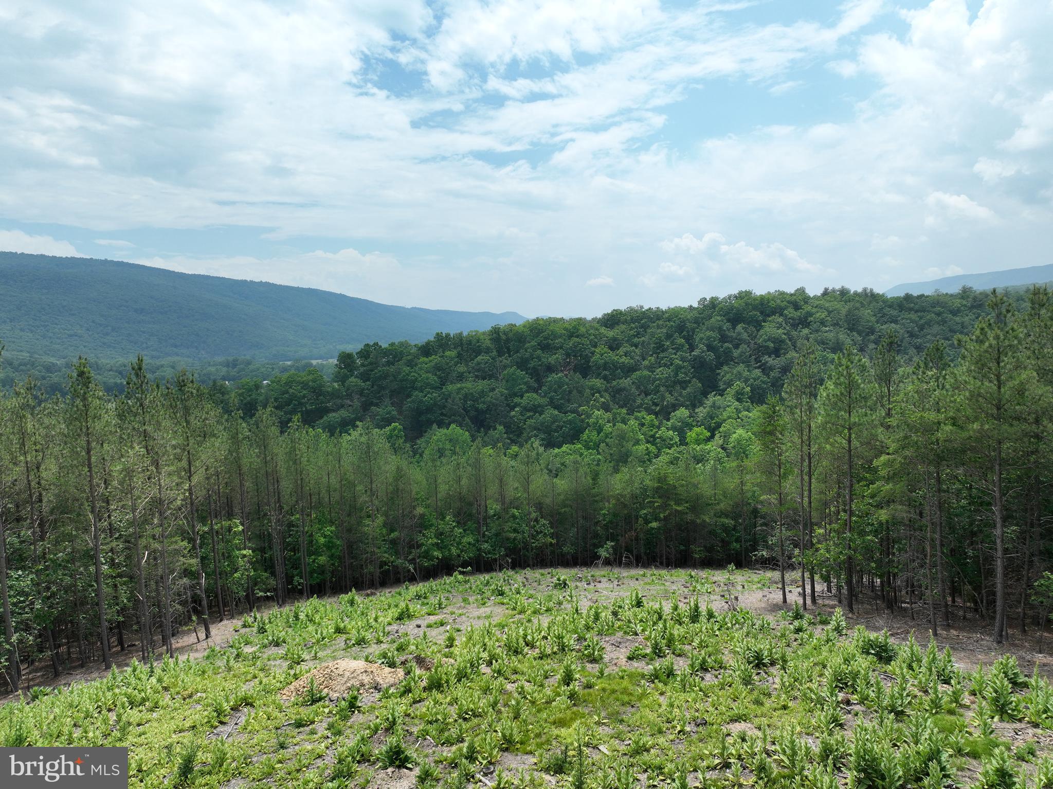 NONE AVAILABLE - Land