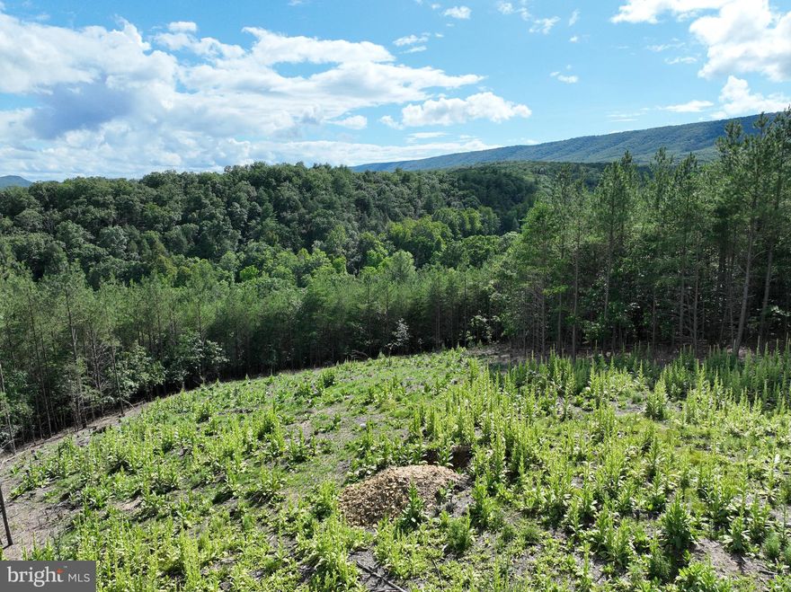 Your Rules. Your Ridge. Your Piece of West Virginia. Not here to follow someone else's rules? Good—this 20.17-acre tract near Delray, West Virginia, gives you the kind of land that doesn’t come with fine print. No HOA. No covenants. No hassle. Just big views, clean access, and the kind of raw, usable ground that’s getting harder to find every year. Less than an hour to Winchester, Virginia. Under two hours to Washington, D.C. Close enough for convenience, but far enough to be left alone. The roads are in, graveled and solid. A build site has already been cleared. Approved perk site? On file. And the mountain views? Flat-out stunning—almost 360 degrees of ridge-and-valley beauty. Hunt it. Build on it. Camp on it. Ride ATVs, run dogs, cut trails. Do what you want, when you want—because this land is unrestricted, and that means the freedom to live how you see fit. Perfect for a full-time residence, weekend retreat, or long-term investment. If you’ve been waiting for a place to unplug, stretch out, and build something real—this is your shot. Come walk it before someone else locks it up.