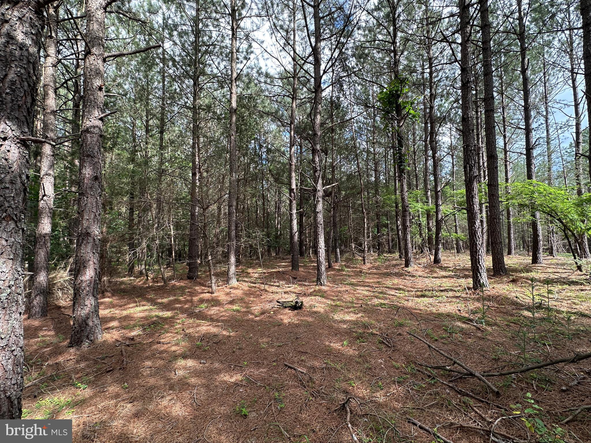 NONE AVAILABLE - Land