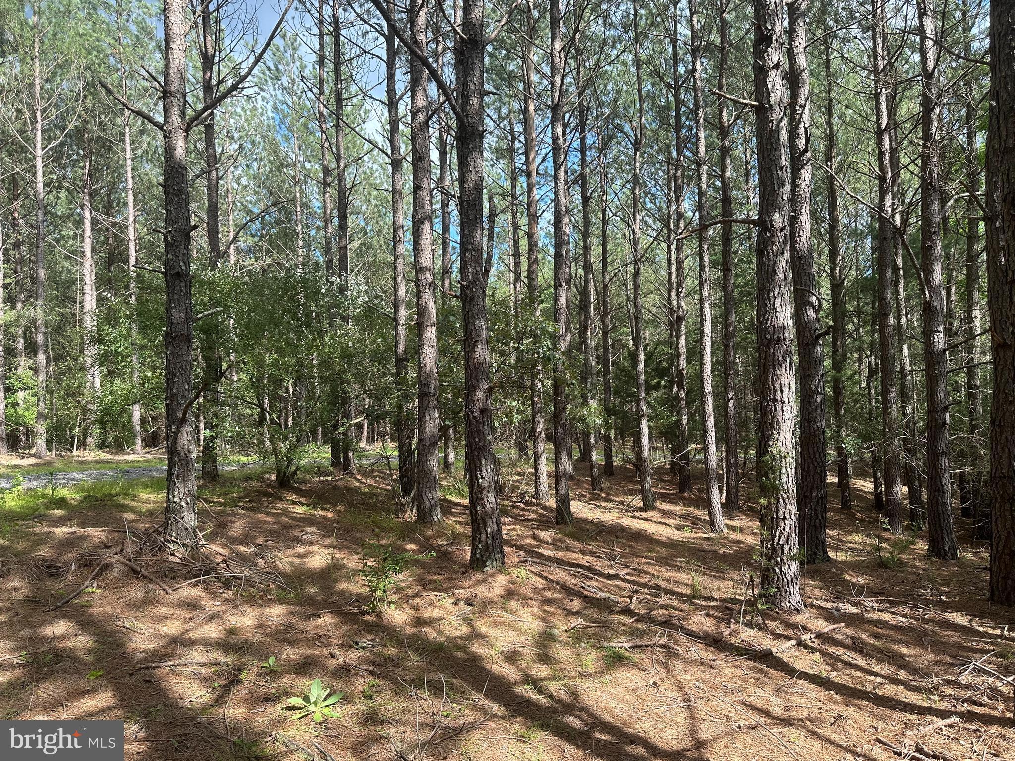 NONE AVAILABLE - Land