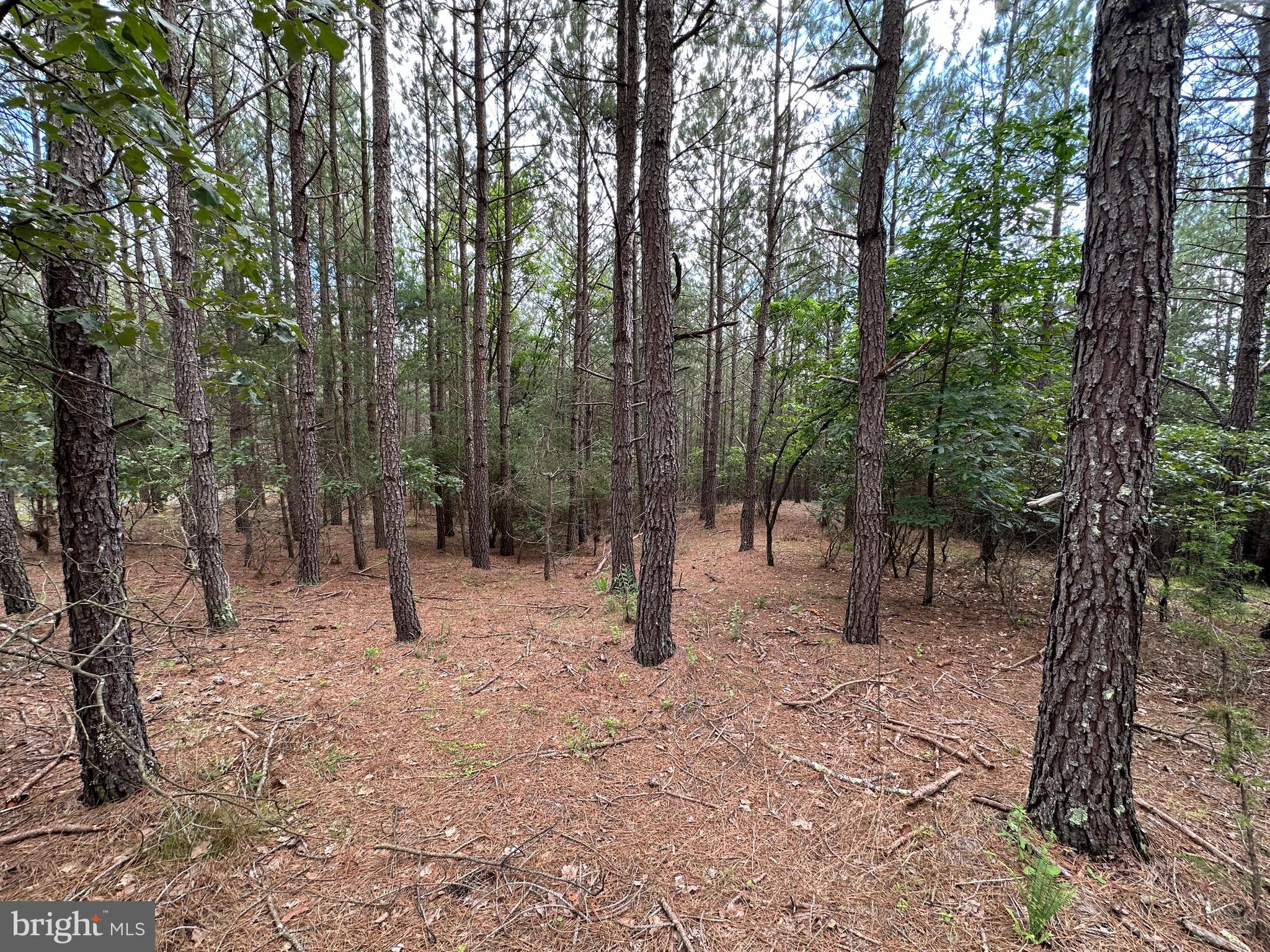 NONE AVAILABLE - Land