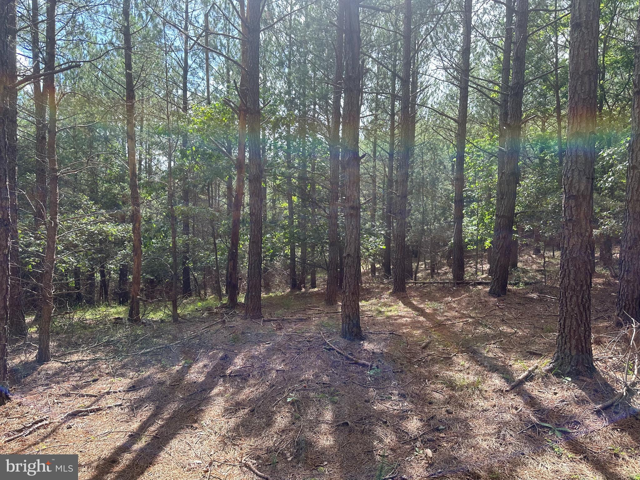 NONE AVAILABLE - Land