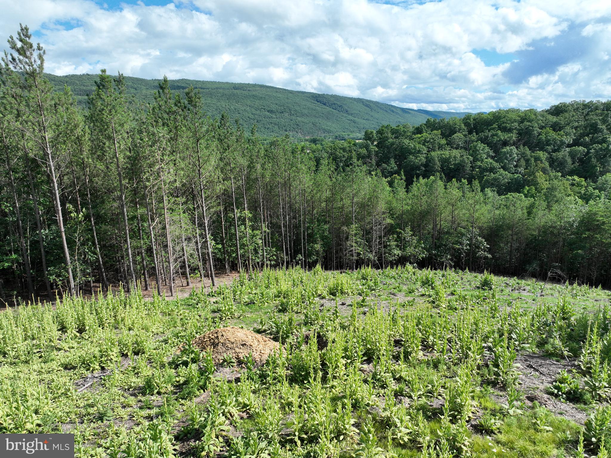 NONE AVAILABLE - Land