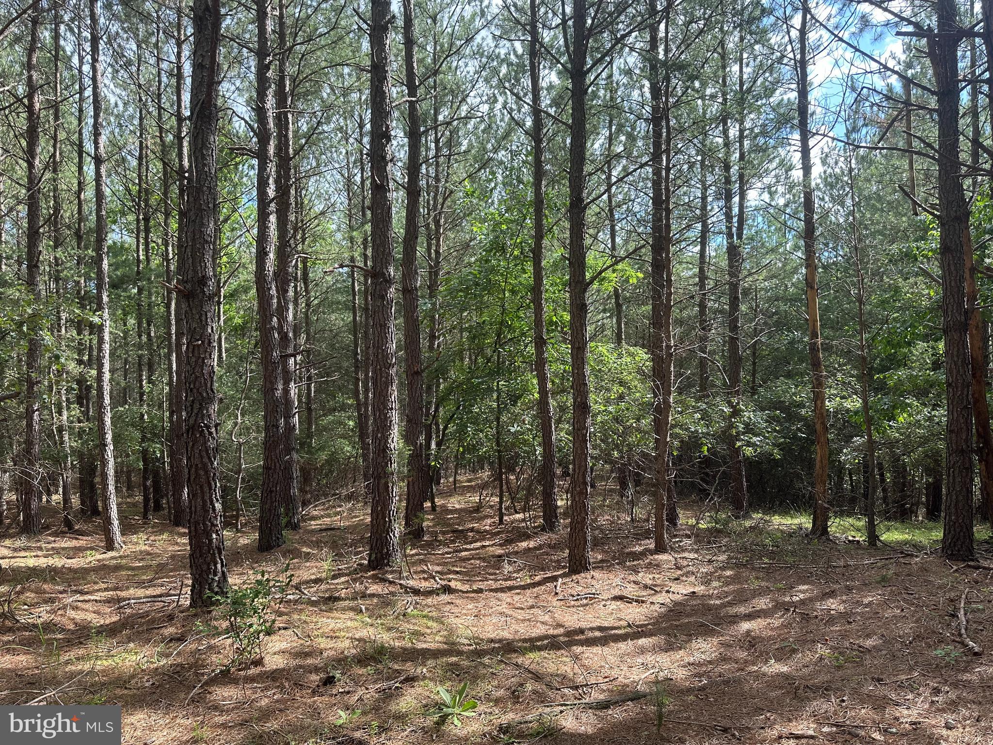 NONE AVAILABLE - Land