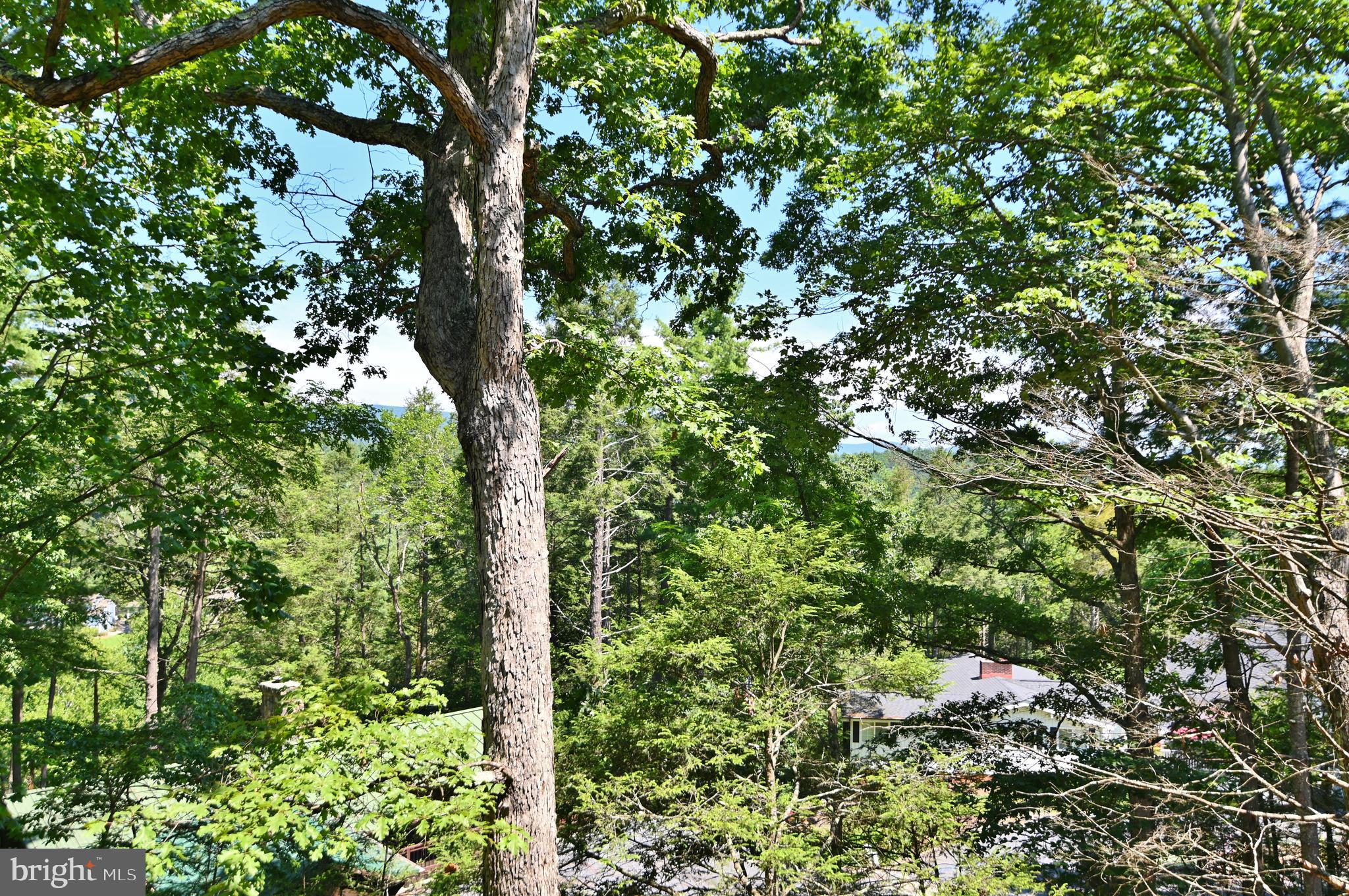 BRYCE MOUNTAIN RESORT - Residential