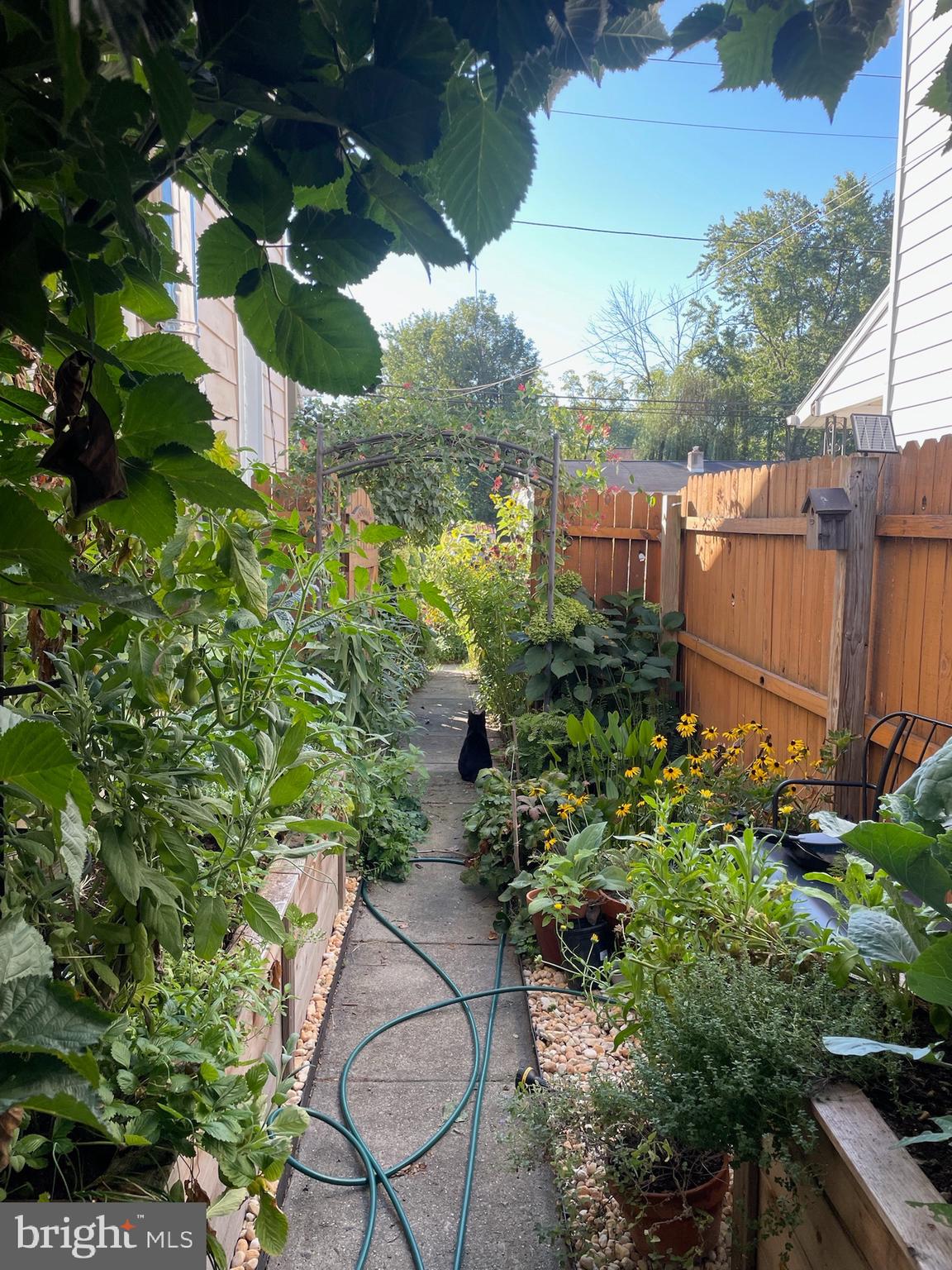 DOWNINGTOWN BORO - Residential