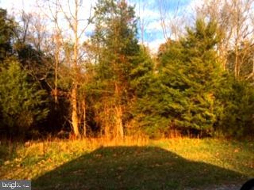 Serenity at it's best! 11 wooded acres in highly desirable area right outside of Strasburg town limits. Certification letter on file for septic. Lots of privacay with beautiful site for home! Wildlife abounds for the nature lovers. Build your dream home!