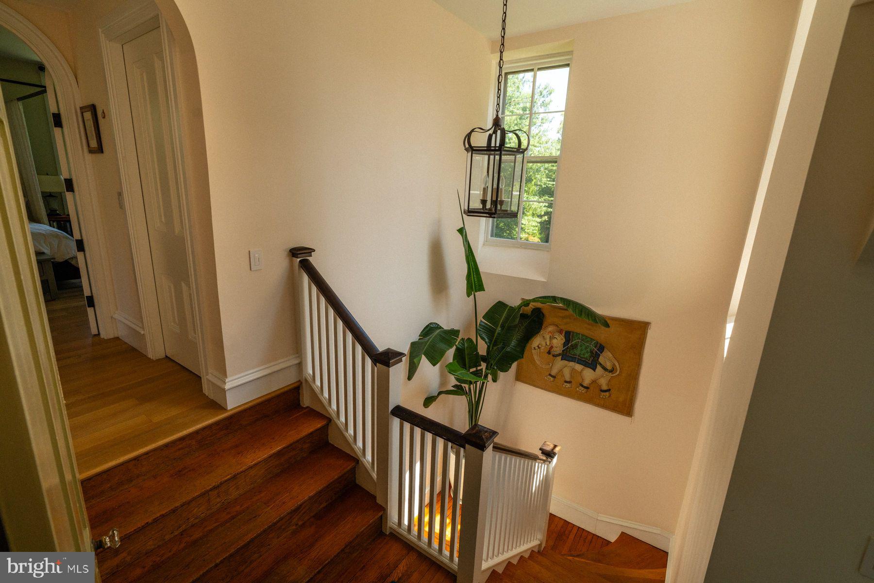 CHESTNUT HILL - Residential