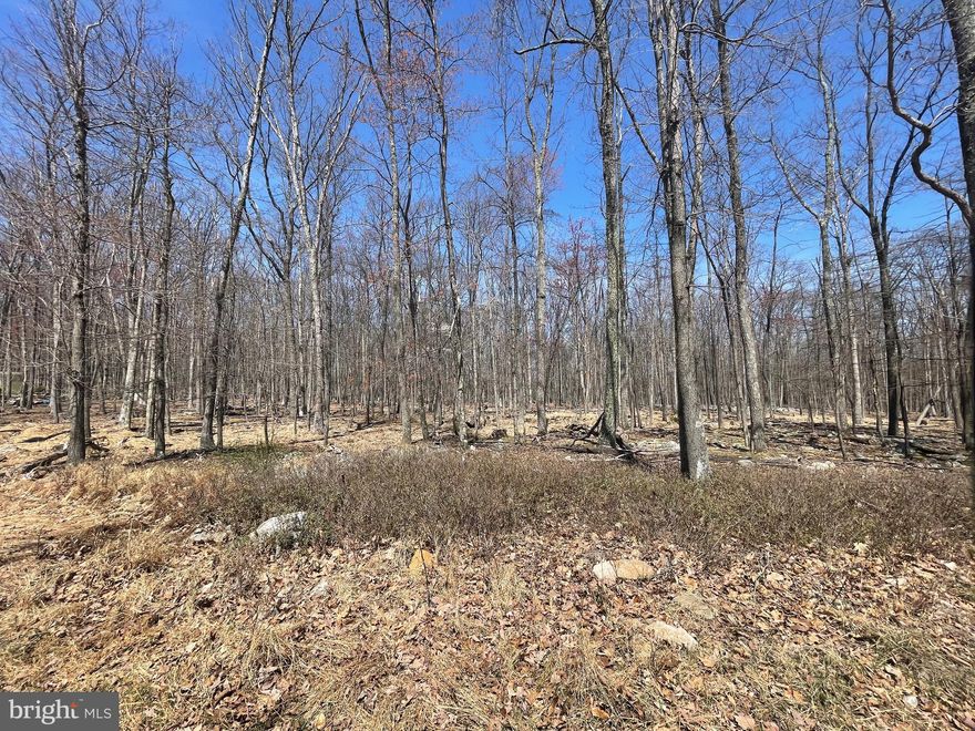 1.2 acre lot on a low traffic street near the edge of the COVE VILLAGE COMMUNITY!  These are two adjoining lots being sold together.  The dues, capital contribution fee, and transfer fee included with the listing reflect this.  This lot backs up to over 250 acres of undeveloped land so you won't have neighbors to the rear.   Whether you've been imagining building a second home or just waiting to build that forever home, WAIT NO MORE!  Haystack Drive is bordered by hundreds of acres of undeveloped private land making it a tranquil retreat.   The Cove Village Community is situated in the foothills of the Poconos and only 1 1/2 hours to New York,  With easy access to I-81 your commute to Hazleton, Wilkes Barre, or Scranton is a breeze.  Another cost-saving perc of the community is having public water and sewer already in place and ready for you to connect through Aqua of Pa.   750 acres of unoccupied prime hunting, ATV, and snowmobile riding land surround the residential portion of Cove Village and is allocated only for the residents of the community and their guests!  Driving through the community, the peace and tranquility will envelop you.  At any given moment the deer, turkey, and birds will entertain you in your own backyard.   Homes within the community vary from rustic cabins and chalets to traditional ranch or two-story homes and even exquisite new construction or dreamy mountain log homes.  There really is something for everyone.  The approximately 278 acres of residential homes and lots are occupied by full-time residents, part-time vacation homes, and even some snowbird second homes.  Cove Village offers an abundance of amenities including a swimming pool, stocked fishing lake, a basketball court, tennis courts, a volleyball court, 2 playgrounds, a baseball field, ATV paths, hunting, a mini golf course, walking paths, and year-round Community events.  I can't forget to mention the beautiful lodge ideal to rent for family gatherings.   This lot and community just might be exactly what you've been looking for.  Air B and B are not permitted. Camping on vacant lots is not permitted.  Mobile/Manufactured homes are not permitted.  Modular and custom built homes with the builder of your choosing are permitted.  All homes must meet the minimum square footage requirements of 1400 square feet.  The community maintains the roads and snow removal.  Trash collection is also provided.   An appointment is required to view due to the gated community.  Call to schedule your tour today!