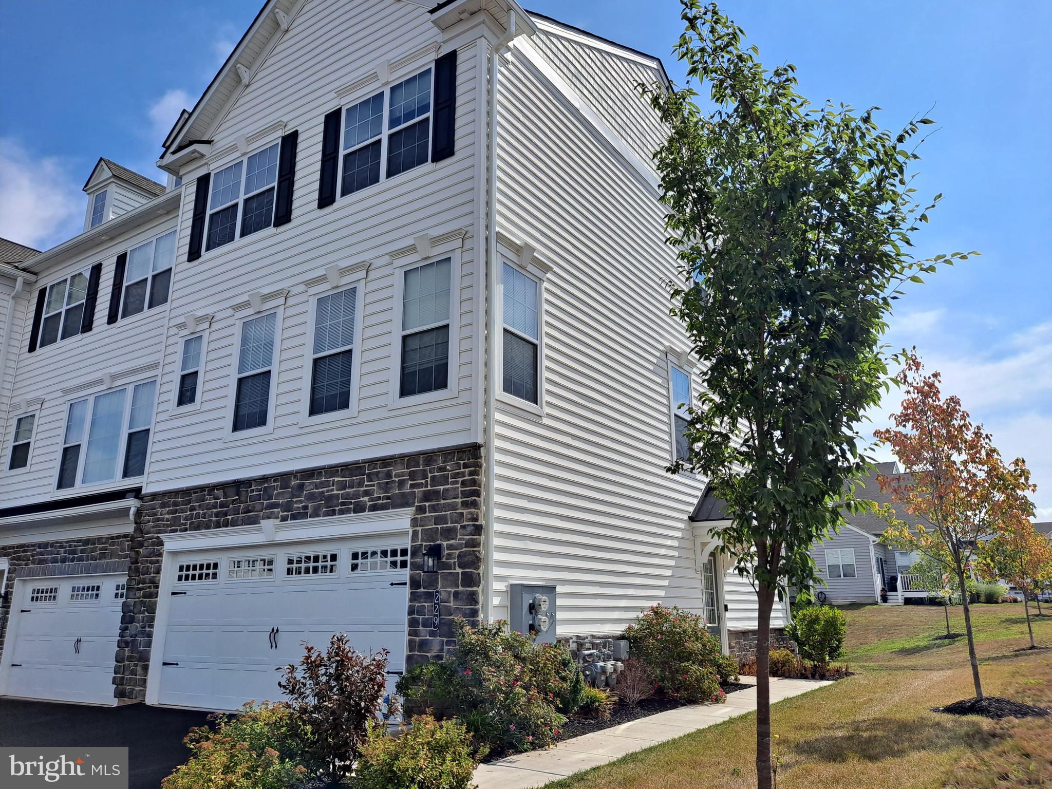 229 CADENCE COURT