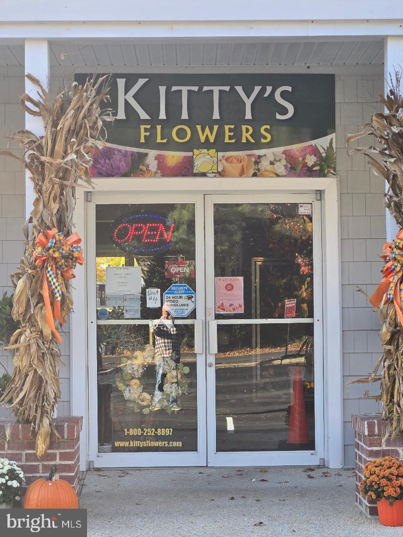 OCEAN PINES - Commercial Sale