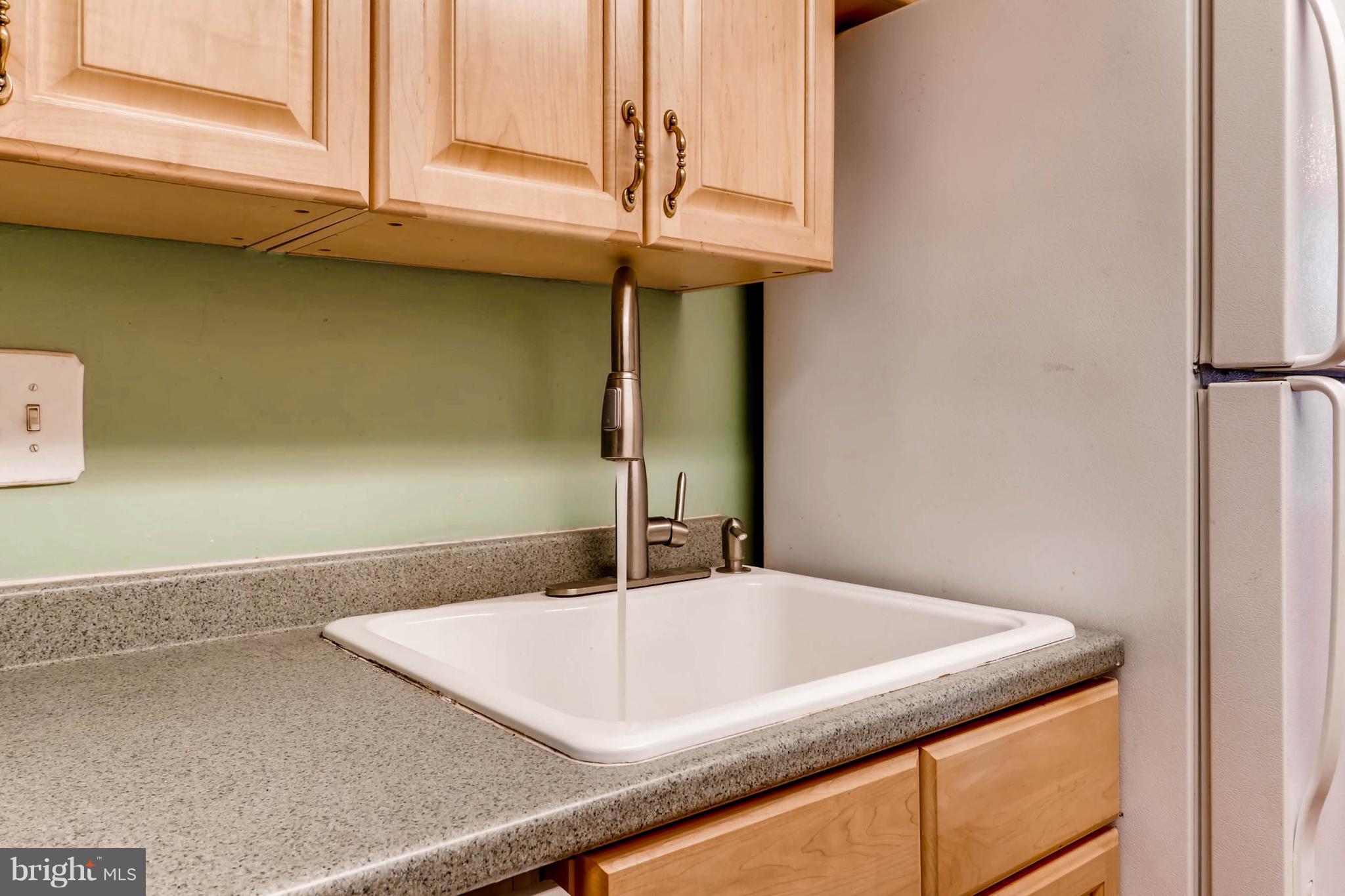 VILLAGE OF OWEN BROWN - Residential