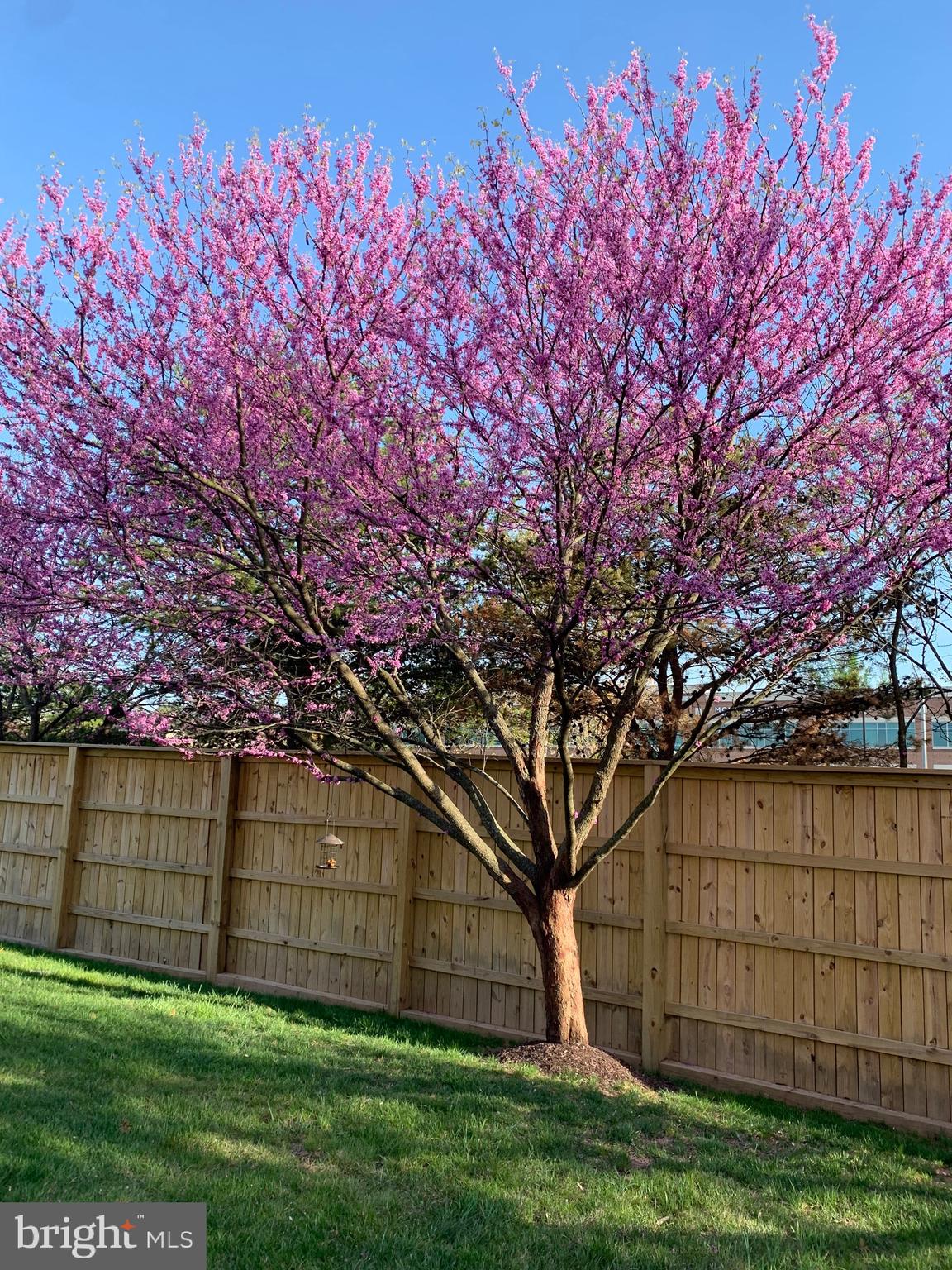 HERITAGE HUNT - Residential