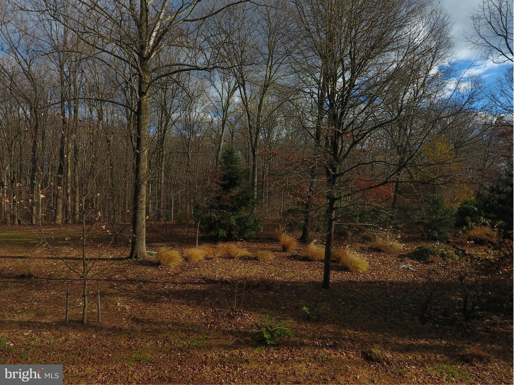 WOODLAND ESTATES - Land