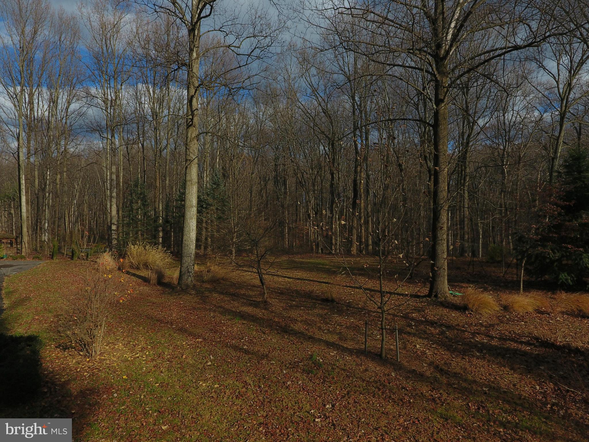 WOODLAND ESTATES - Land