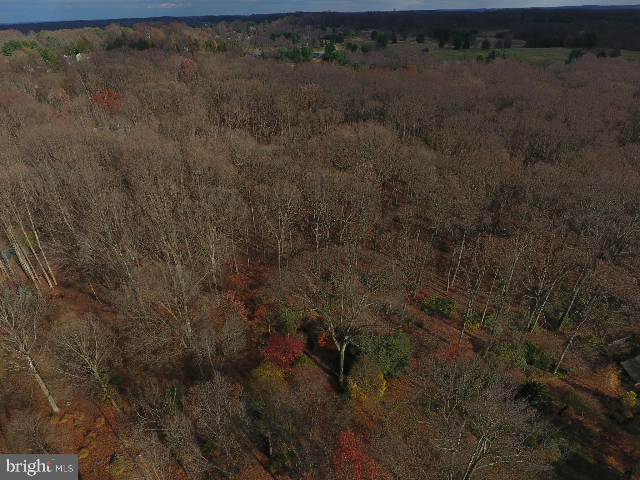 WOODLAND ESTATES - Land