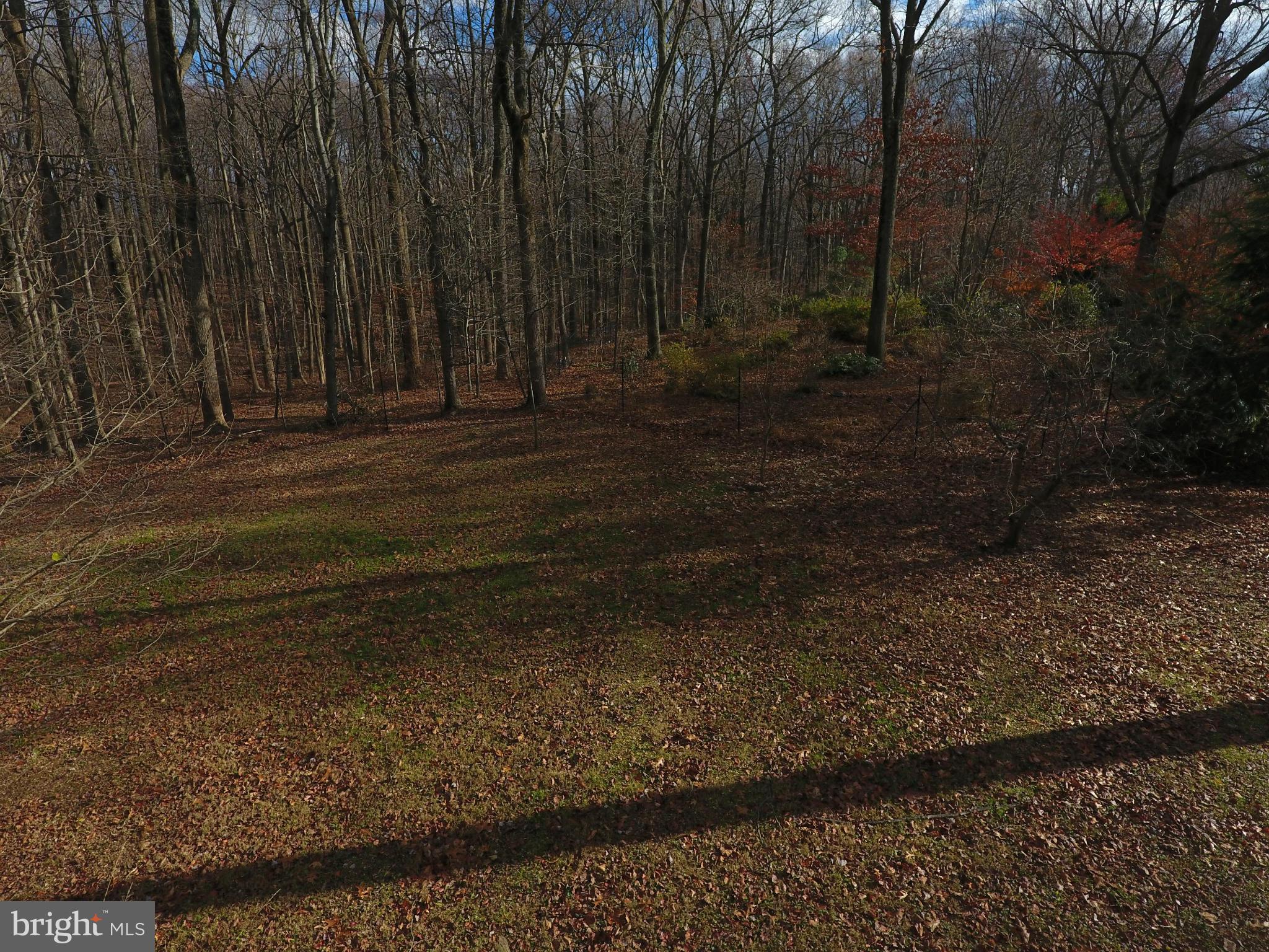 WOODLAND ESTATES - Land