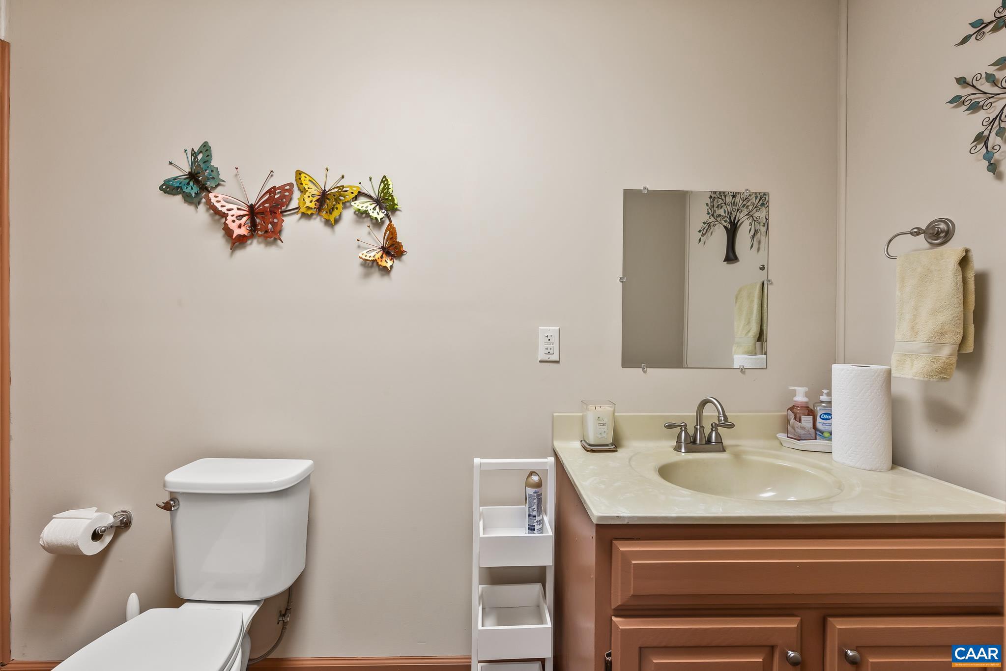 LAKE MONTICELLO - Residential