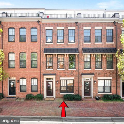 259 CRESCENT STATION TERRACE SE LEESBURG VA 20175