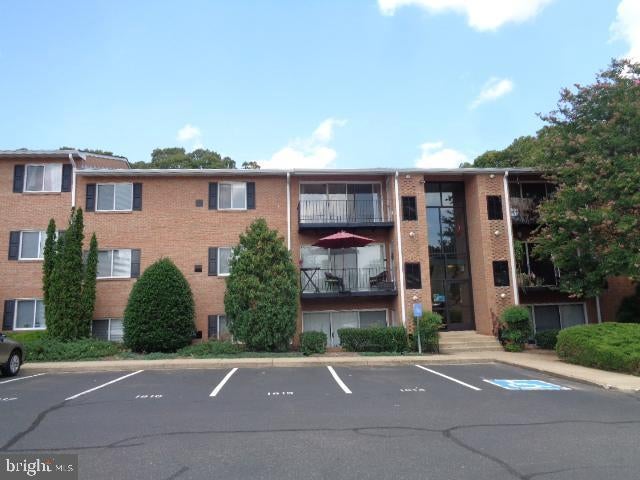 1805 WILLIAM STREET B 205