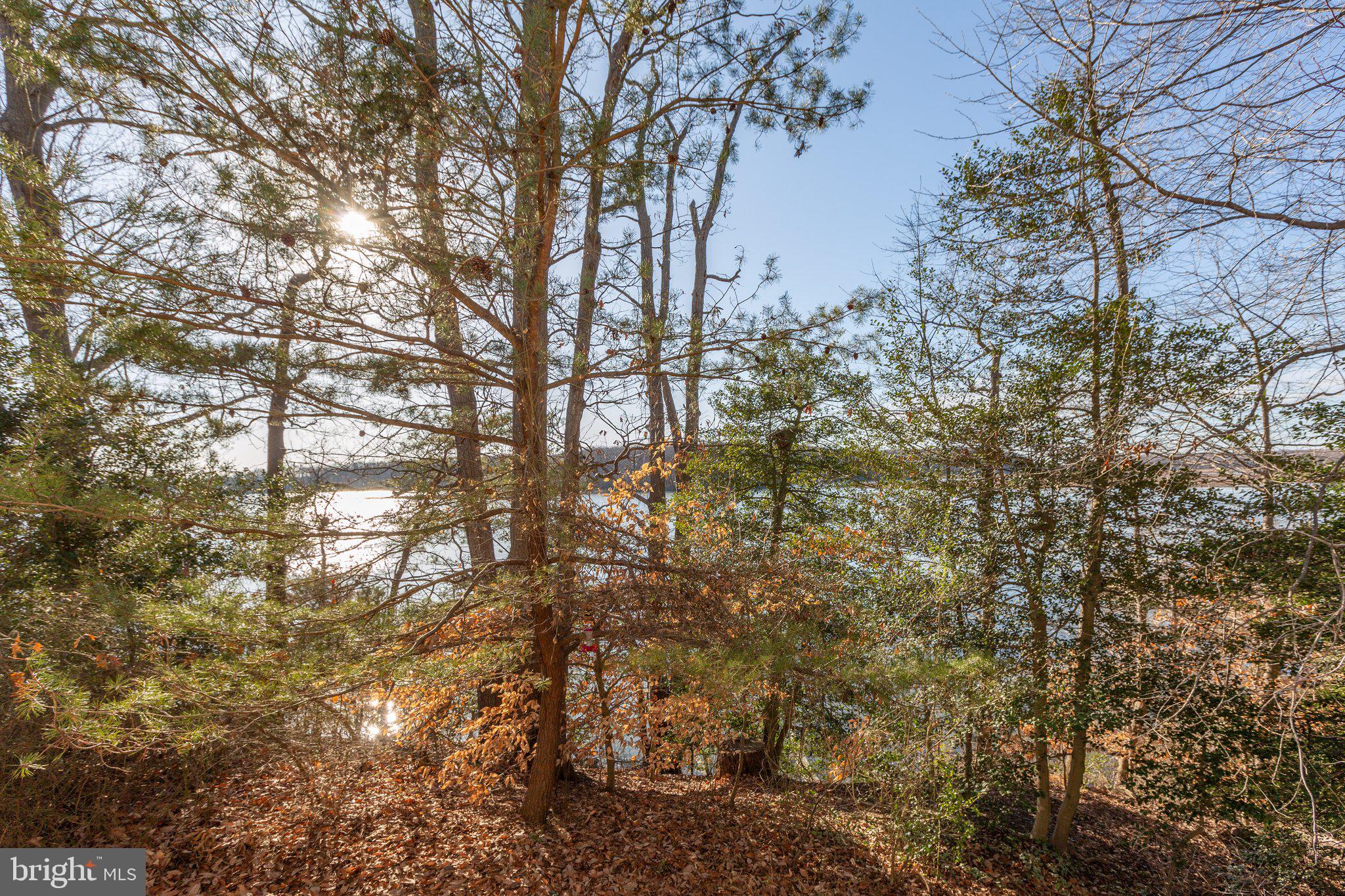 MARLBOROUGH POINT - Residential