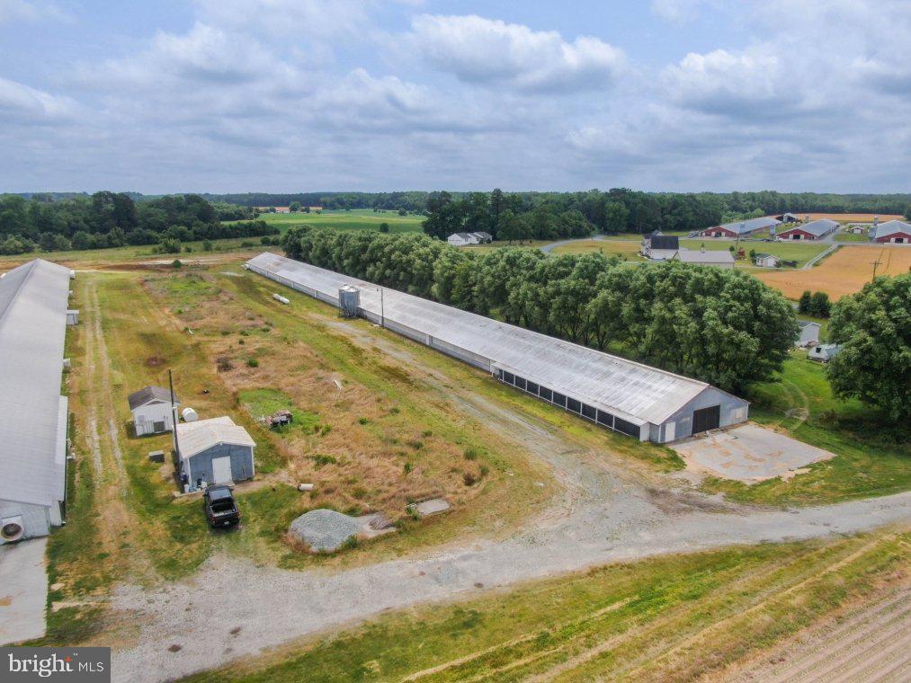 NONE AVAILABLE - Farm