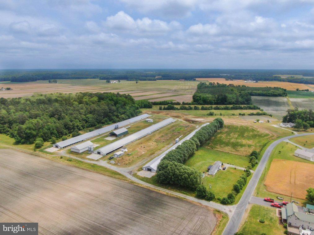 NONE AVAILABLE - Farm