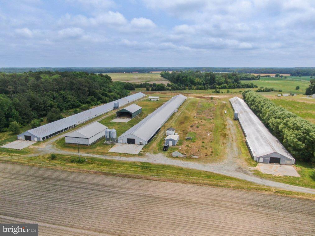 NONE AVAILABLE - Farm