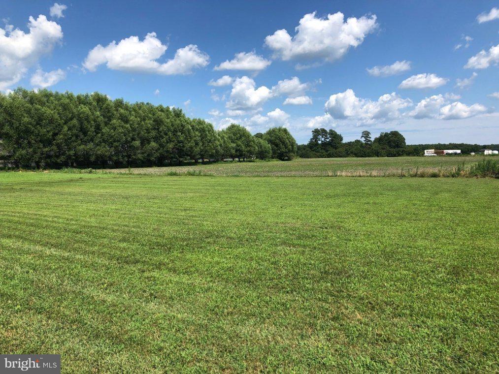 NONE AVAILABLE - Farm