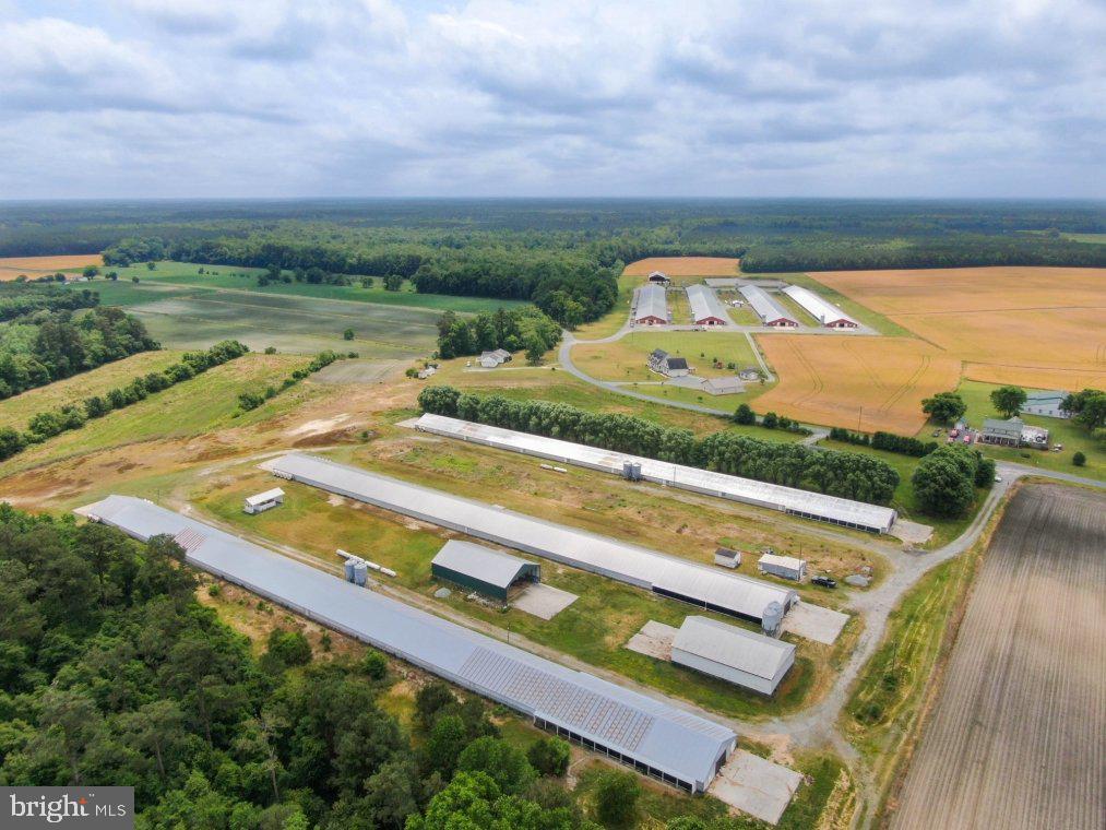 NONE AVAILABLE - Farm