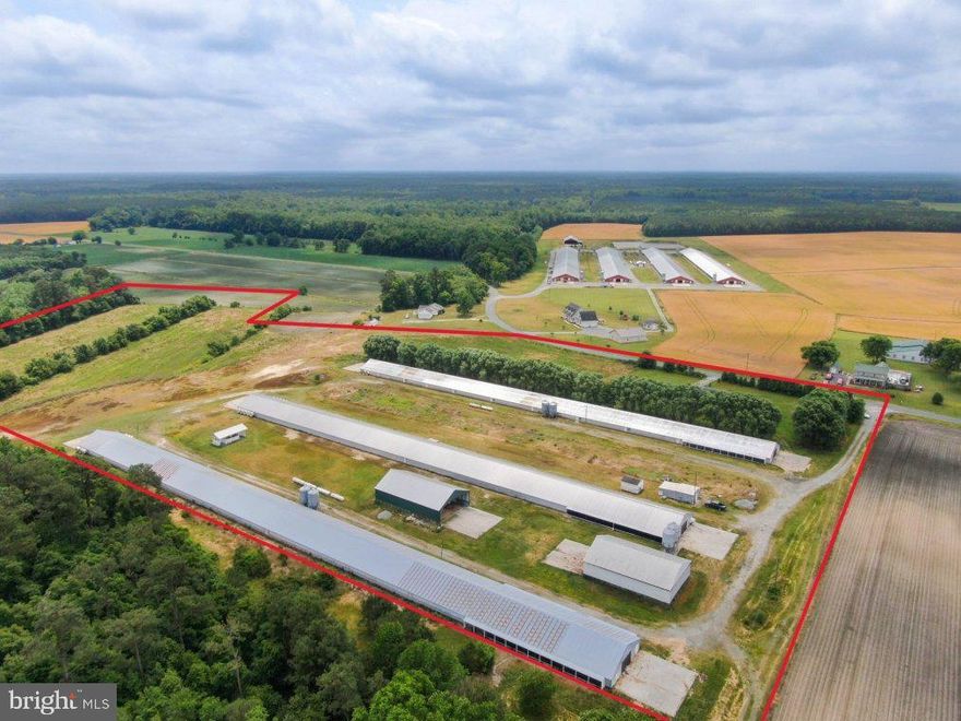 Well maintained three house poultry farm on +/- 24.41 deeded acres. House 1: 40x560 built 20+ years ago (free-span), House 2: 46x540 built in 2012 (free-span), House 3: 40x600 built 20+ years ago (free-span). 135 HP Caterpillar generator - 85,000 bird capacity   2 manure sheds.   3 bedroom 2 bath 1,000 sqft modular home built in 1996. +/-10 tillable acres of cleared land that has been farmed in recent years but is not in production currently. Contact agent for cash flow analysis. Farm recently had $15,000 in upgrades performed to meet current Tyson specs.  Total cleanout and new shavings last flock. A 33hp Kubota tractor with bush hog and bucket will be conveyed in the sale. Birds are out June 30th.