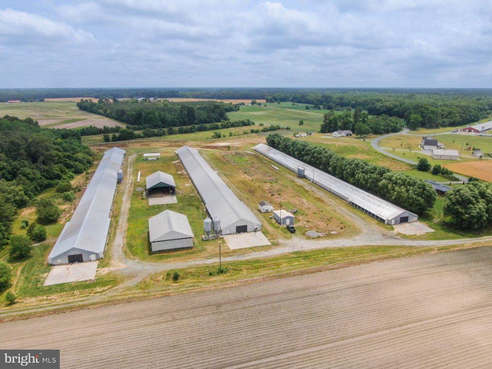 NONE AVAILABLE - Farm