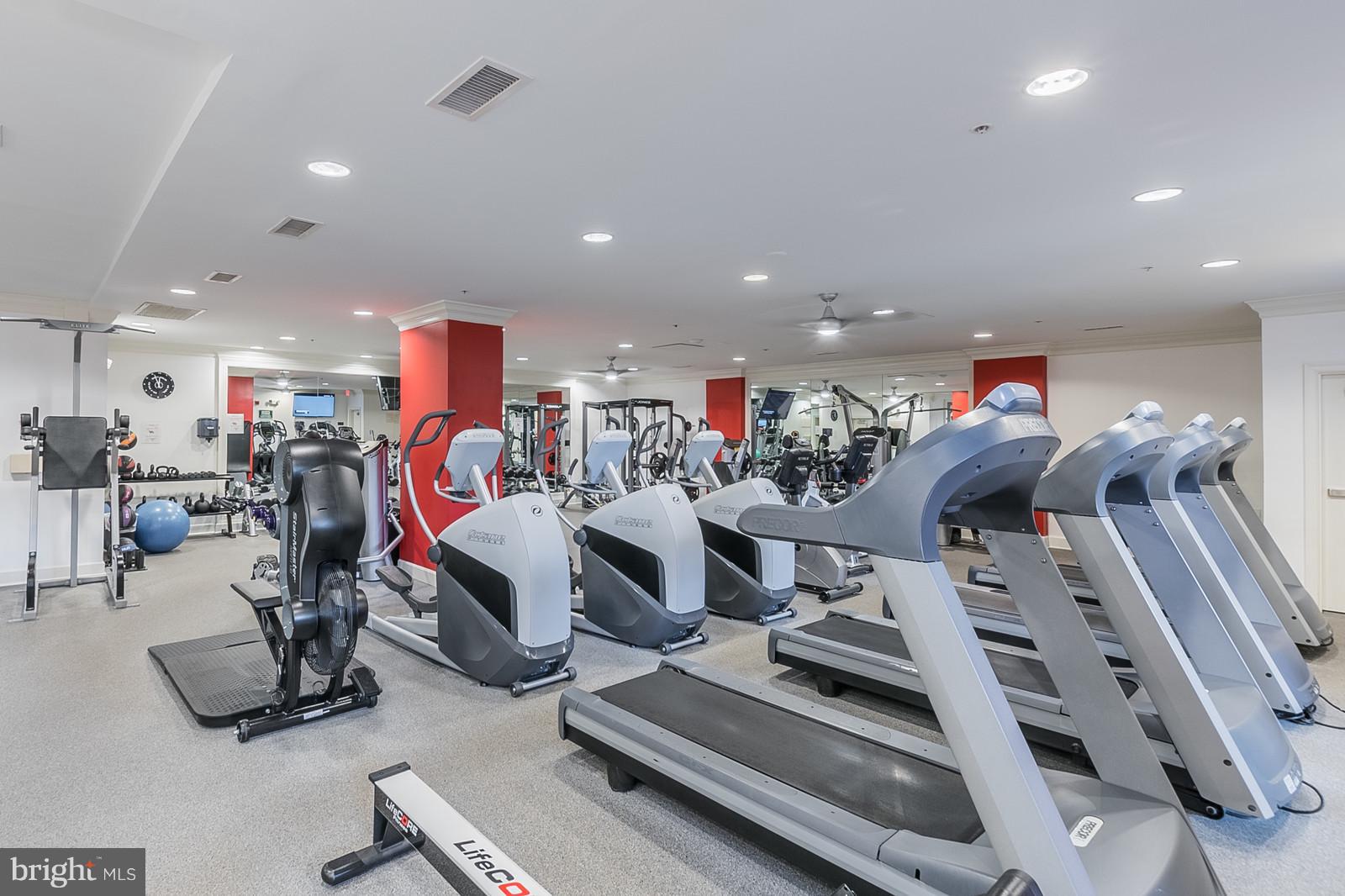 HALSTEAD AT THE METRO - Residential Lease